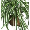 image:imageNearly Natural 6607 Spider Hanging Basket Decorative Silk Plant Green1025 x 1025 x 175