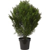 image:imageNearly Natural 6881 3 Cedar Artificial Bush IndoorOutdoorGreen