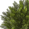 image:imageNearly Natural 6881 3 Cedar Artificial Bush IndoorOutdoorGreen