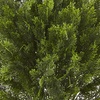 image:imageNearly Natural 6881 3 Cedar Artificial Bush IndoorOutdoorGreen