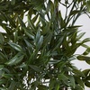 image:imageNearly Natural 69in Ruscus Artificial Tree UV Resistant IndoorOutdoor