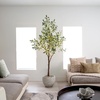 image:imageNearly Natural 6FT Artificial Fruiting Olive Tree with 280 Warm White LED Lights Faux Olive Tree Indoor Home Dcor Prelit with Lifelike Fruits and Sturdy Base Stand