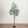 image:imageNearly Natural 6FT Artificial Fruiting Olive Tree with 280 Warm White LED Lights Faux Olive Tree Indoor Home Dcor Prelit with Lifelike Fruits and Sturdy Base Stand
