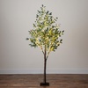 image:imageNearly Natural 6FT Artificial Fruiting Olive Tree with 280 Warm White LED Lights Faux Olive Tree Indoor Home Dcor Prelit with Lifelike Fruits and Sturdy Base Stand