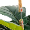 image:imageNearly Natural 6ft Artificial Fiddle Leaf Tree in Decorative White Planter