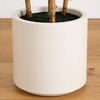 image:imageNearly Natural 6ft Artificial Fiddle Leaf Tree in Decorative White Planter