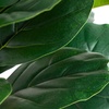 image:imageNearly Natural 6ft Artificial Fiddle Leaf Tree in Decorative White Planter