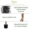 image:imageNearly Natural 6ft Artificial Halloween Black Ficus Tree with Natural Trunk  Indoor Decor for Spooky Atmosphere