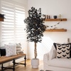 image:imageNearly Natural 6ft Artificial Halloween Black Ficus Tree with Natural Trunk  Indoor Decor for Spooky Atmosphere