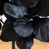 image:imageNearly Natural 6ft Artificial Halloween Black Fiddle Leaf Tree  Spooky Holiday Decor for Indoor Use