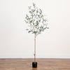 image:imageNearly Natural 6ft Artificial Olive Tree  Slim Minimalist Design with Lifelike Faux Olives Flexible Branches Includes Nursery Planter