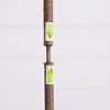 image:imageNearly Natural 6ft Artificial Olive Tree  Slim Minimalist Design with Lifelike Faux Olives Flexible Branches Includes Nursery Planter
