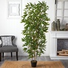 image:imageNearly Natural 6ft Bamboo Artificial Tree Real Touch UV Resistant IndoorOutdoor
