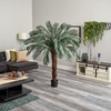 image:imageNearly Natural 6ft Cycas Artificial Tree UV Resistant IndoorOutdoor