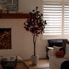 image:imageNearly Natural 6ft PreLit Artificial Halloween Black Eucalyptus Tree with 300 Orange amp Purple LED Lights