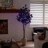 image:imageNearly Natural 6ft PreLit Artificial Halloween Black Eucalyptus Tree with 300 Orange amp Purple LED Lights