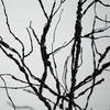 image:imageNearly Natural 6ft PreLit Halloween Deluxe Black Twig Artificial Fall Tree with 156 Orange and Purple LED Lights