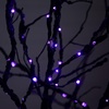 image:imageNearly Natural 6ft PreLit Halloween Deluxe Black Twig Artificial Fall Tree with 156 Orange and Purple LED Lights