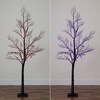 image:imageNearly Natural 6ft PreLit Halloween Minimalist Twig Artificial Fall Tree with 320 Orange and Purple LED Lights