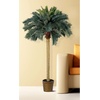 image:imageNearly Natural 6ft Sago Palm Silk Tree