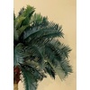 image:imageNearly Natural 6ft Sago Palm Silk Tree