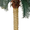 image:imageNearly Natural 6ft Sago Palm Silk Tree