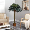 image:imageNearly Natural 6ft Sago Palm Silk Tree