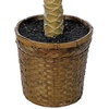 image:imageNearly Natural 6ft Sago Palm Silk Tree