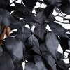 image:imageNearly Natural 7ft Artificial Halloween Black Ficus Tree with Natural Trunk
