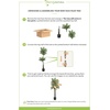image:imageNearly Natural 7ft Double Robellini Palm Tree UV Resistant IndoorOutdoor