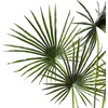 image:imageNearly Natural 7ft Fan Palm Tree UV Resistant IndoorOutdoor