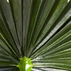 image:imageNearly Natural 7ft Fan Palm Tree UV Resistant IndoorOutdoor