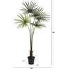 image:imageNearly Natural 7ft Fan Palm Tree UV Resistant IndoorOutdoor