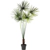 image:imageNearly Natural 7ft Fan Palm Tree UV Resistant IndoorOutdoor