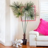 image:imageNearly Natural 7ft Fan Palm Tree UV Resistant IndoorOutdoor