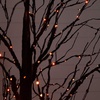 image:imageNearly Natural 7ft PreLit Halloween Black Twig Tree with 390 Orange amp Purple LED Lights
