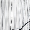 image:imageNearly Natural 7ft PreLit Halloween Black Willow Tree with 600 Purple and Orange LED Lights
