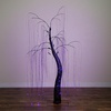 image:imageNearly Natural 7ft PreLit Halloween Black Willow Tree with 600 Purple and Orange LED Lights