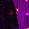 image:imageNearly Natural 7ft PreLit Halloween Black Willow Tree with 600 Purple and Orange LED Lights