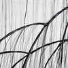 image:imageNearly Natural 7ft PreLit Halloween Black Willow Tree with 600 Purple and Orange LED Lights