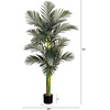 image:imageNearly Natural 8 ft Artificial Golden Cane Palm Tree with Nursery Pot6ft
