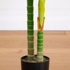 image:imageNearly Natural 8 ft Artificial Golden Cane Palm Tree with Nursery Pot6ft