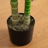 image:imageNearly Natural 8 ft Artificial Golden Cane Palm Tree with Nursery Pot6ft