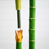 image:imageNearly Natural 8 ft Artificial Golden Cane Palm Tree with Nursery Pot9ft