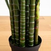 image:imageNearly Natural 8 ft UVResistant Artificial Areca Palm Tree with Pot10ft