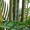 image:imageNearly Natural 8 ft UVResistant Artificial Areca Palm Tree with Pot11ft