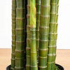 image:imageNearly Natural 8 ft UVResistant Artificial Areca Palm Tree with Pot11ft