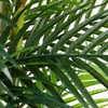 image:imageNearly Natural 8 ft UVResistant Artificial Areca Palm Tree with Pot11ft
