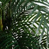 image:imageNearly Natural 8 ft UVResistant Artificial Areca Palm Tree with Pot9ft