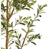 image:imageNearly Natural 82in Artificial Olive Tree Faux Greenery with Lifelike Branches for Indoor Home Decor